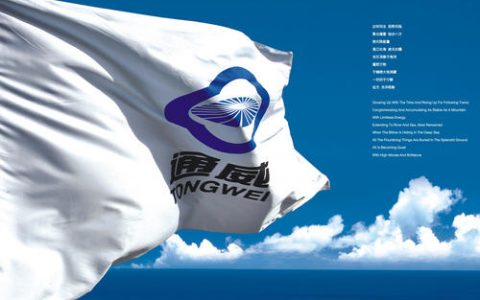 通威集团RPA智能财务建设案例