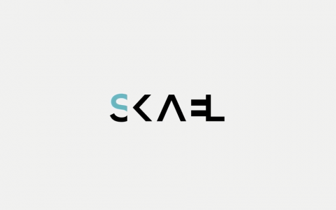 RPA创企Skael A轮融资3800万美元，用于研发及市场