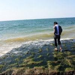 进击的RPA的头像